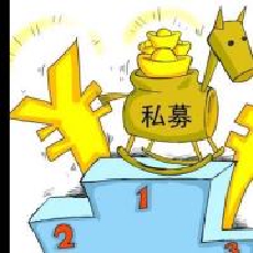 成长基金中最亮的星