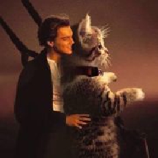 招财猫长投学堂