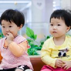 趋势交易的奶爸