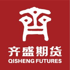 山东齐盛期货