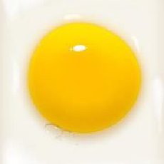 蛋黄哥千万基金实投