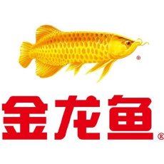 金龙鱼