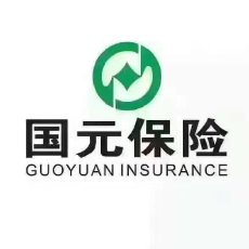 国元保险