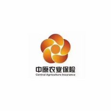 中原农险