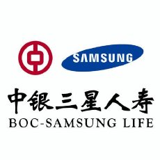 中银三星人寿