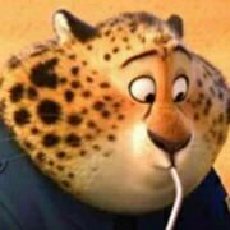 晓磊的基金生活