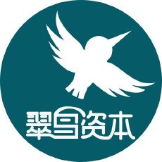 翠鸟资本