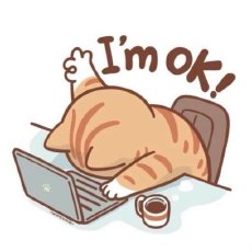 要不我来试试水