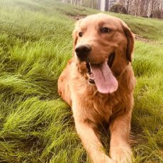 勤勤恳恳养基人