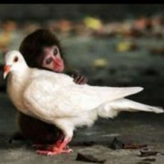 善待每一位-天天基金