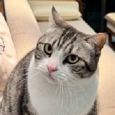 威尼斯摆渡人的水域