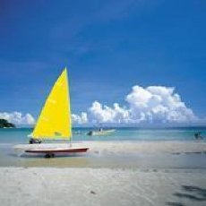 手扶拖拉司基188