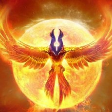 太阳投研札记Plus