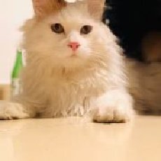 北漂民工的日常