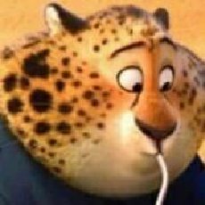 晓磊的基金生活