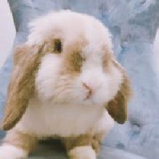 金融门外汉团团