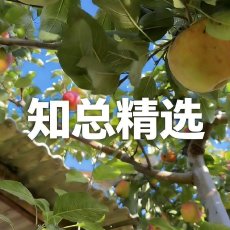 知总精选