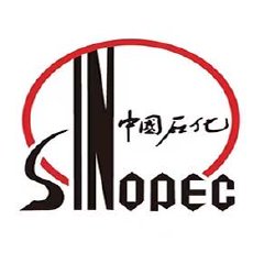 中国石油化工股份