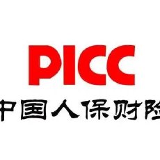 中国财险