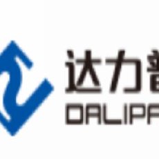 达力普控股