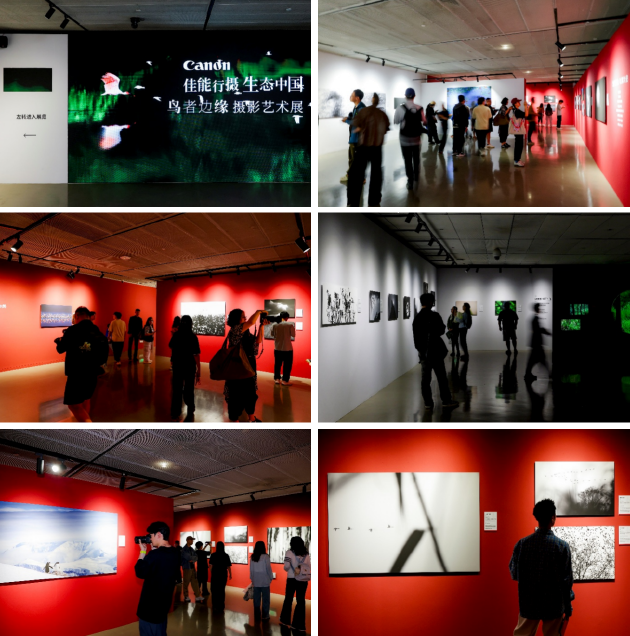 佳能行摄生态中国——鸟者边缘摄影艺术展在北京嘉德艺术中心启幕