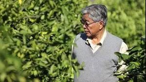 马静芬：褚时健本事不小 都是苦练出来的