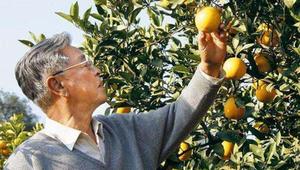 褚时健夫人马静芬：今年褚橙卖了两万多吨