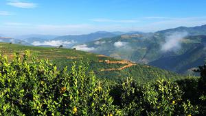 褚时健夫人马静芬：要用家族信托的利息培养企业家