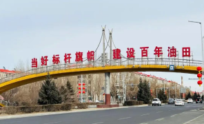 图2：大庆市道路上的标语&nbsp;&nbsp;资料来源：经济观察报，申万宏源研究