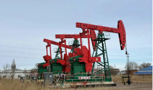 搜狐订阅:喜茶代金券-【申万宏源研究春节见闻】黑龙江大庆：从新中国石油工业的长子到北方高端智造高地