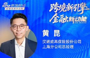 黄昆：中企出海需要更充分稳定风险保障