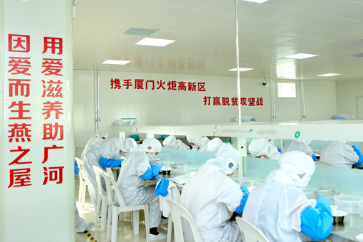 图：燕之屋广河县扶贫工厂员工正在从事挑毛工作