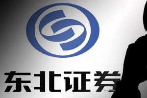 东北证券:因在豫金刚石非公开发行股票项目中未勤勉尽责被立案