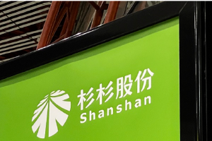 上交所向杉杉股份下发监管工作函,督促公司及相关方妥善处理有关事项、保障上市公司经营稳定和规范运作