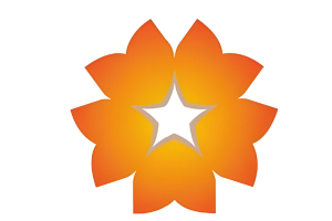 两度冲击A股IPO折戟 180亿“独角兽”星星充电母公司转战港交所