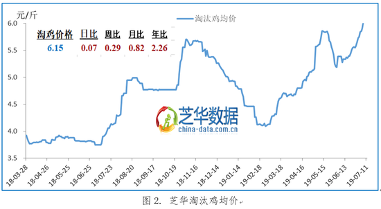 （二）鸡龄结构仍年轻化，大蛋占比继续减少