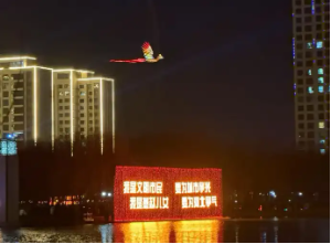 哔哩哔哩:腾讯视频会员-申万宏源研究春节见闻丨河北辛集：一盏灯点亮县域消费“新年红”