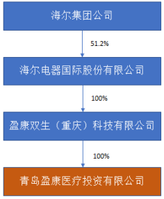 盈康医投控股结构