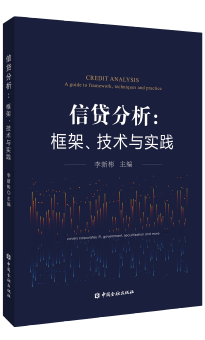 信贷分析：框架、技术与实践