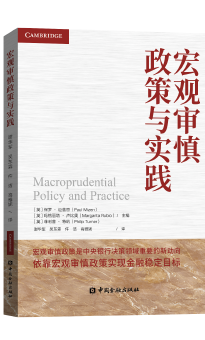 宏观审慎政策与实践