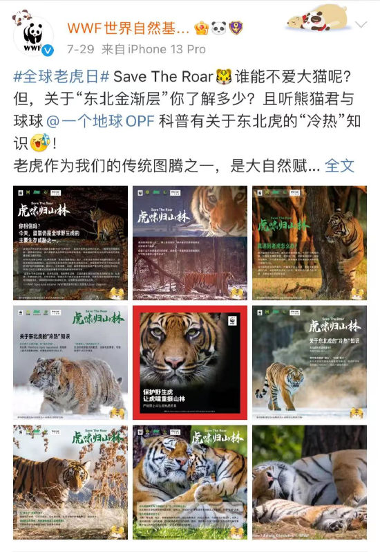 微博发布7月公益简报：凝聚公益传播力量，助力企业公益传播_新浪财经_新浪网