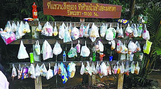 泰国誓言减塑 2020年2.5万销售点不免费提供塑料袋