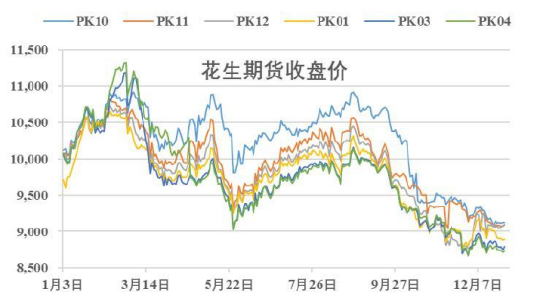【中粮视点】花生:速览价格2023