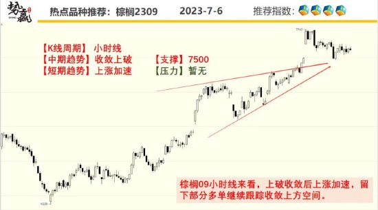 中粮势赢交易:菜油尾盘冲高 领涨油脂