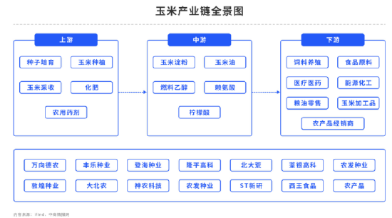 外盘偏利空，玉米转弱趋势明显？