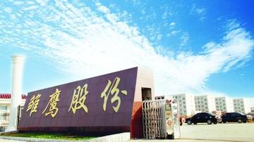 雏鹰农牧遭万字长文质疑涉嫌财务舞弊