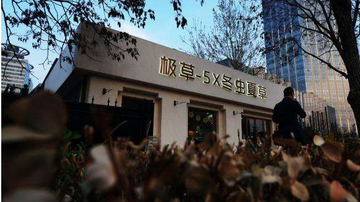 神话破灭：青海春天连续3年业绩下滑