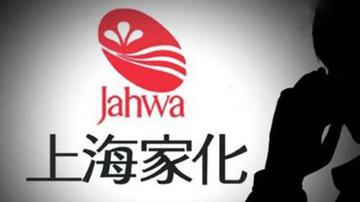 上海家化营销革新落败 增收不增利