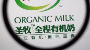 中国圣牧连续2年巨亏