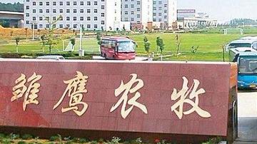 雏鹰农牧陷亏损黑洞